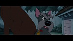The Lady and the Tramp picture