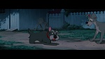 The Lady and the Tramp picture