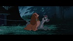 The Lady and the Tramp picture