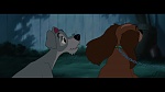 The Lady and the Tramp picture