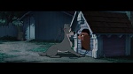 The Lady and the Tramp picture