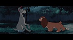 Image The Lady and the Tramp