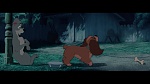 The Lady and the Tramp picture