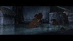 The Lady and the Tramp picture