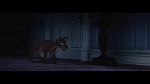 The Lady and the Tramp picture
