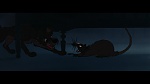 Image The Lady and the Tramp