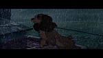 Image The Lady and the Tramp