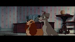 The Lady and the Tramp picture