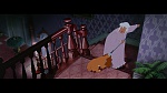 The Lady and the Tramp picture