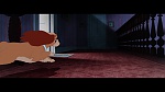 The Lady and the Tramp picture