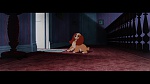 The Lady and the Tramp picture