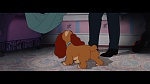 The Lady and the Tramp picture