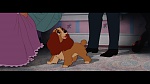 The Lady and the Tramp picture