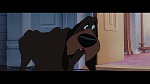 The Lady and the Tramp picture