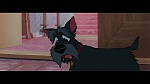 The Lady and the Tramp picture