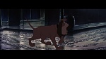The Lady and the Tramp picture