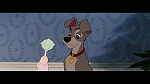 The Lady and the Tramp picture