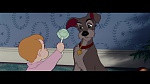 The Lady and the Tramp picture