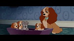 The Lady and the Tramp picture