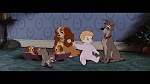 The Lady and the Tramp picture