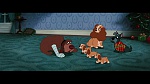 The Lady and the Tramp picture