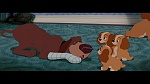 The Lady and the Tramp picture