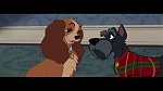 The Lady and the Tramp picture