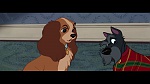 The Lady and the Tramp picture