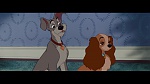 The Lady and the Tramp picture