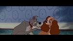 The Lady and the Tramp picture