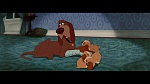 The Lady and the Tramp picture
