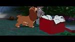 The Lady and the Tramp picture
