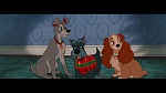 The Lady and the Tramp picture