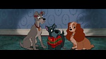 The Lady and the Tramp picture