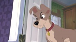 Lady and the Tramp II: Scamp's Adventure picture