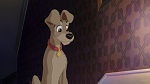 Lady and the Tramp II: Scamp's Adventure picture