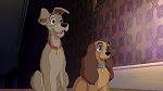 Lady and the Tramp II: Scamp's Adventure picture