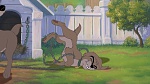 Lady and the Tramp II: Scamp's Adventure picture