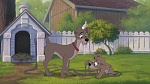 Lady and the Tramp II: Scamp's Adventure picture