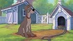 Lady and the Tramp II: Scamp's Adventure picture