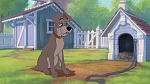 Lady and the Tramp II: Scamp's Adventure picture