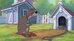 Lady and the Tramp II: Scamp's Adventure picture