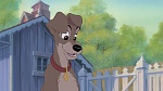 Lady and the Tramp II: Scamp's Adventure picture