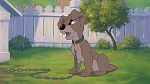 Lady and the Tramp II: Scamp's Adventure picture