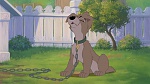 Lady and the Tramp II: Scamp's Adventure picture