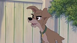 Lady and the Tramp II: Scamp's Adventure picture