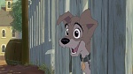 Image Lady and the Tramp II: Scamp's Adventure
