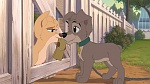 Image Lady and the Tramp II: Scamp's Adventure