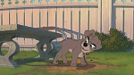 Image Lady and the Tramp II: Scamp's Adventure