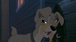 Image Lady and the Tramp II: Scamp's Adventure